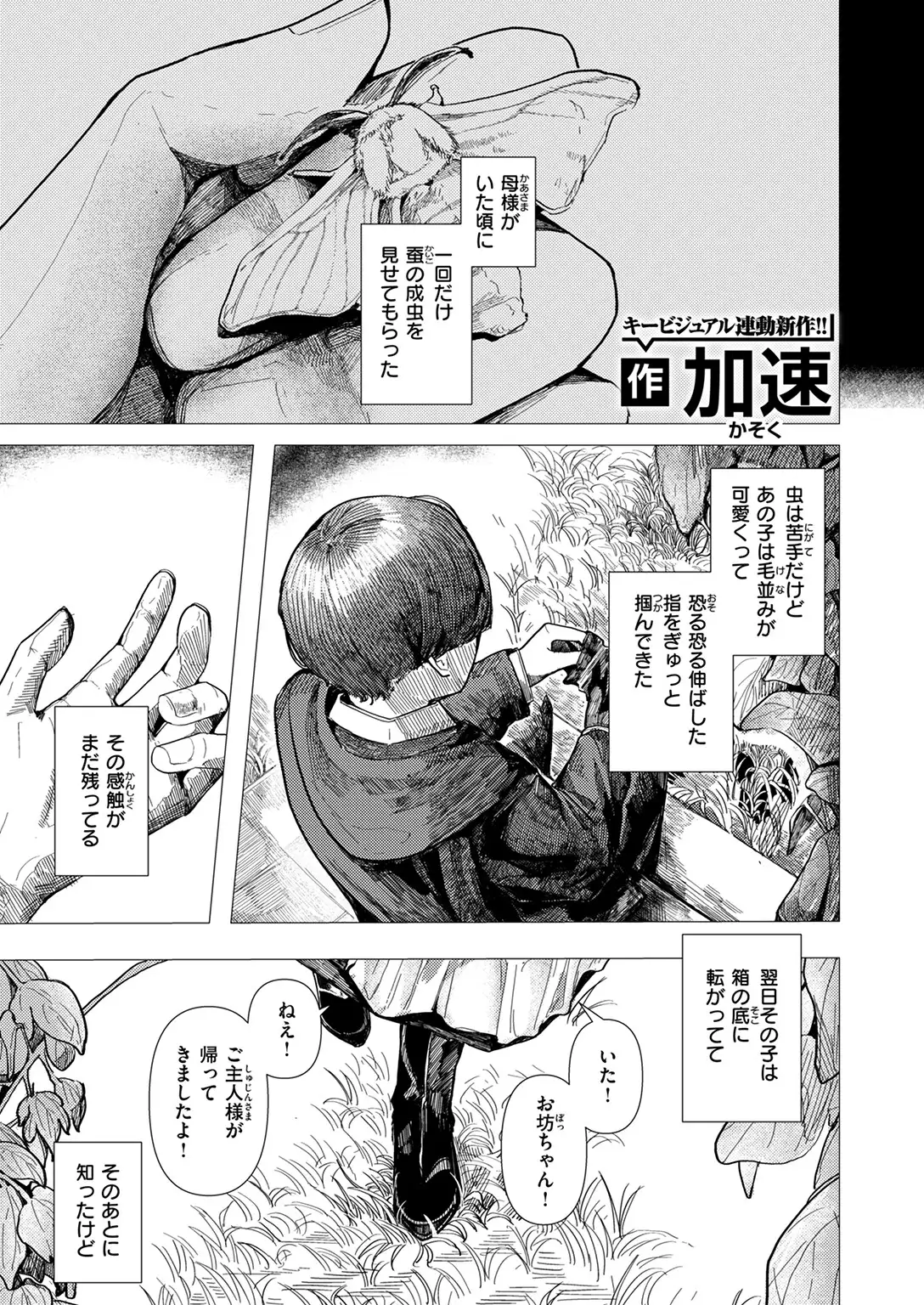 蚕のひとつ覚え 画像3